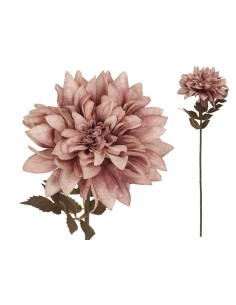 VARA DALIA DRIED - 54 CM (VIOLETA)