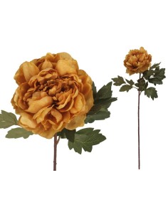 VARA PEONIA DRIED - 57 CM (OCRE)