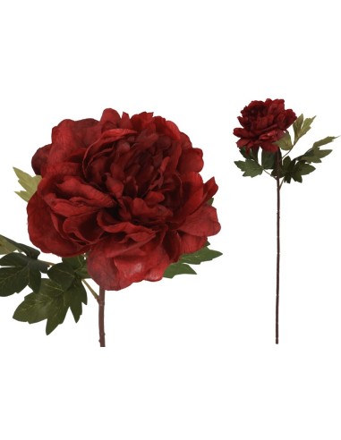 VARA PEONIA DRIED - 57 CM (ROJO)