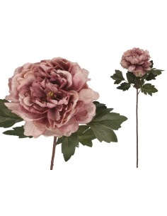 VARA PEONIA DRIED - 57 CM (VIOLETA)
