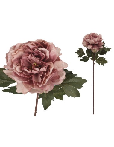 VARA PEONIA DRIED - 57 CM (VIOLETA)