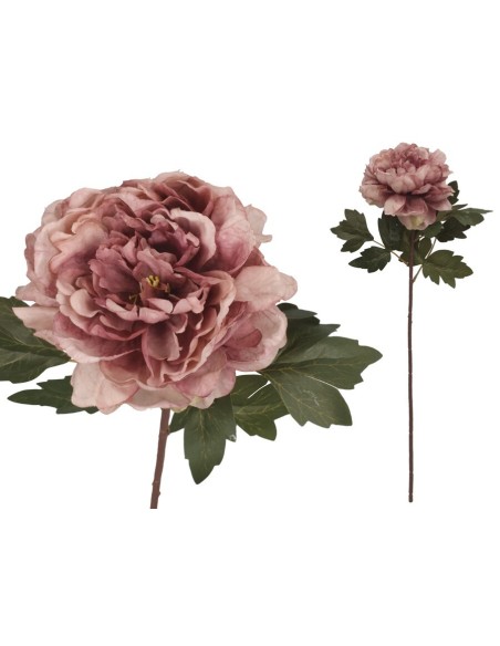 VARA PEONIA DRIED - 57 CM (VIOLETA)
