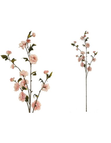 VARA CHERRY BLOSSOM DRIED -90 CM (ROSA)