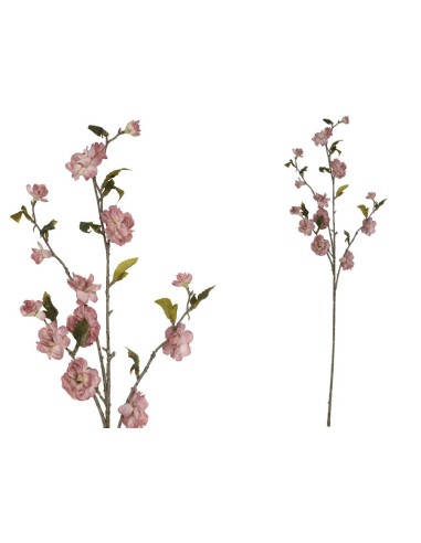 VARA CHERRY BLOSSOM DRIED -90 CM (VIO)
