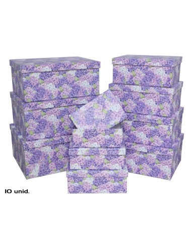 SET 10 CAJAS NOMEOLVIDES 37,5X29X16 CM