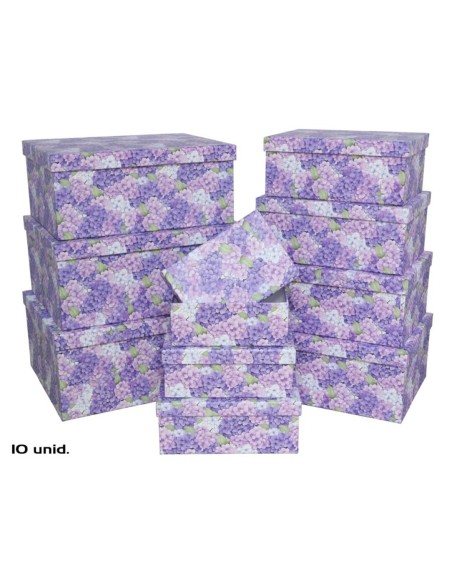 SET 10 CAJAS NOMEOLVIDES 37,5X29X16 CM