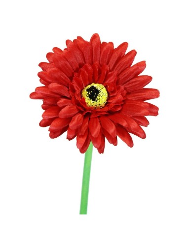 GERBERAX1 SATEN ROJA 60cm(10)