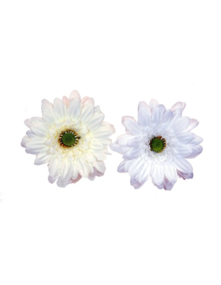 R.GERBERILLAS X1 CREMA 45cm(7)