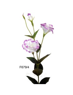 R.LISANTHUNX2 BLA/LI.82cm(7cm)