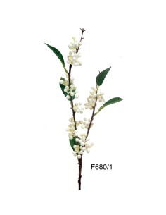 R.WILD BERRY X3 CREMA 63cm(31)