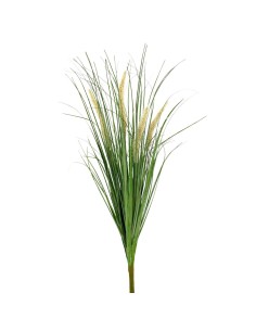 RAMO GRASS PUROSX4 CREMA 62cm