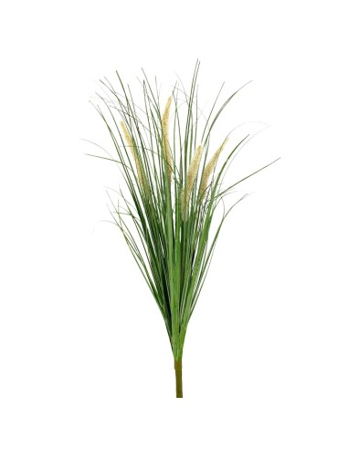 RAMO GRASS PUROSX4 CREMA 62cm
