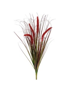 RAMO GRASS PUROSX4 ROJO 62cm