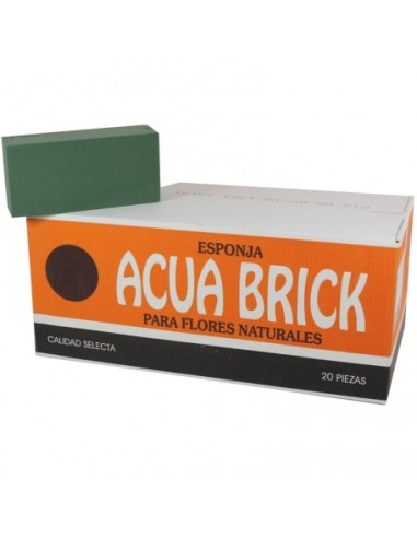 OASIS ACUABRICK ESPONJA FLORAL 20 PASTILLAS