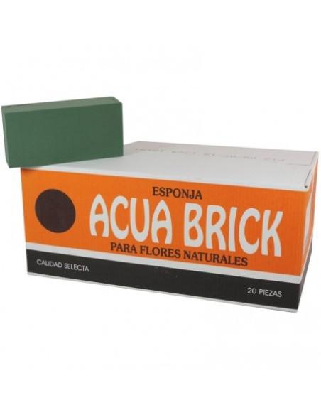 OASIS ACUABRICK ESPONJA FLORAL 20 PASTILLAS