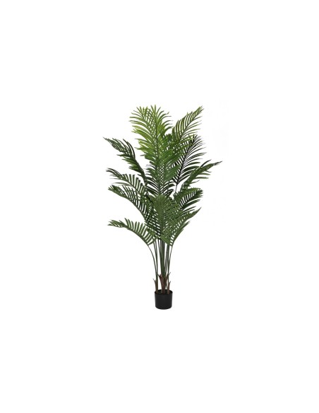 PLANTA PE CEMENTO 80X80X160 PALMERA VERDE