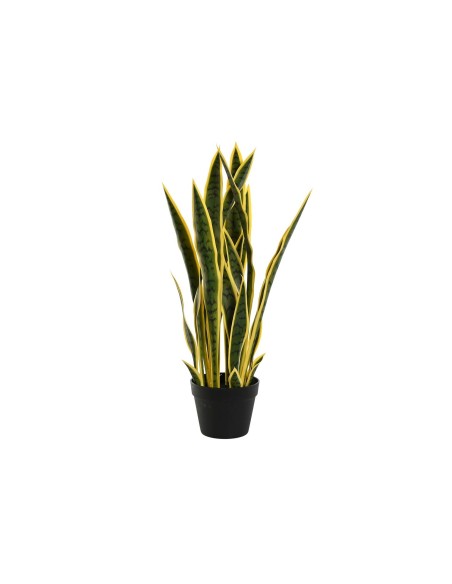 PLANTA PE PP 30X30X74 SANSEVIERIA VERDE
