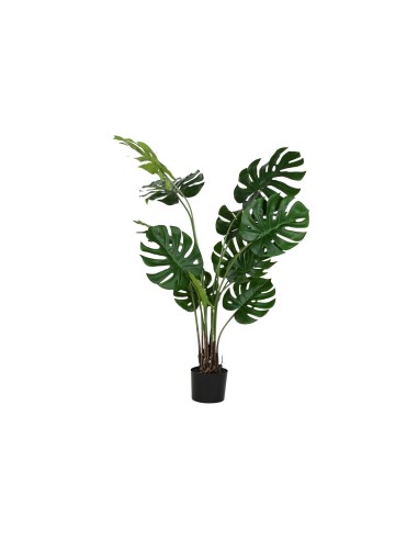 PLANTA PE PP 90X80X130 MONSTERA VERDE