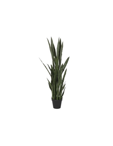 PLANTA PE PP 40X40X150 SANSEVIERIA VERDE