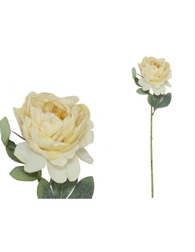 VARA PEONIA DRIED - 50 CM (OCRE)