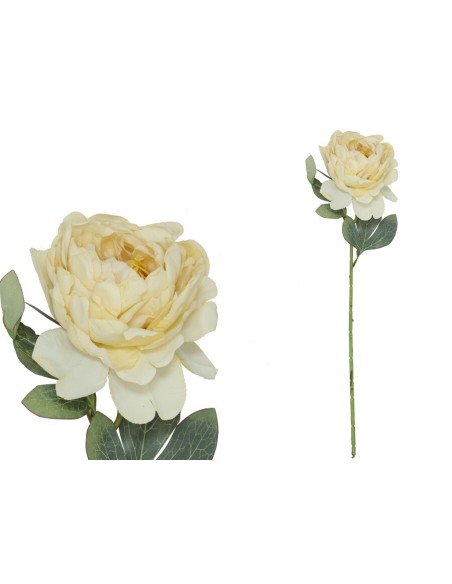 VARA PEONIA DRIED - 50 CM (OCRE)