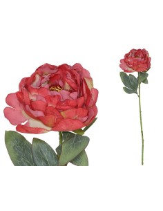VARA PEONIA DRIED - 50 CM (ROJO)