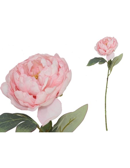 VARA PEONIA DRIED - 50 CM (ROSA)