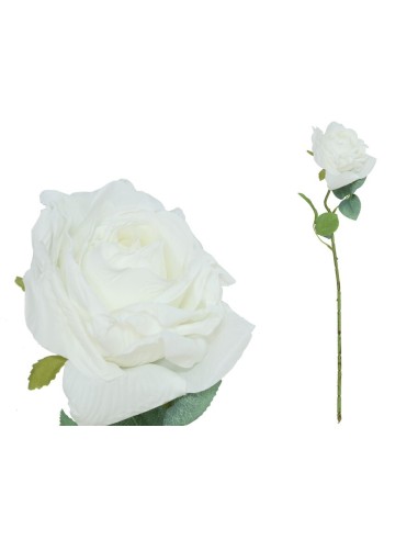 VARA ROSA DRIED - 51 CM (BLANCO)