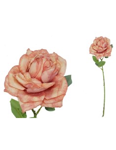 VARA ROSA DRIED - 51 CM (TE)