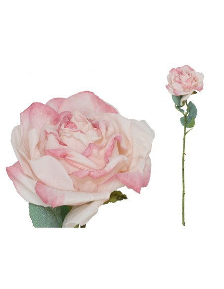 VARA ROSA DRIED - 51 CM (ROSA)