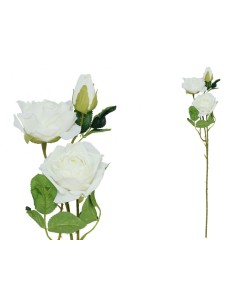 VARA ROSA DRIED X 3 - 63 CM (BLANCO)