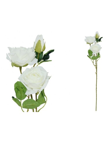 VARA ROSA DRIED X 3 - 63 CM (BLANCO)