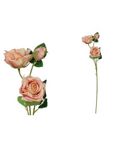 VARA ROSA DRIED X 3 -  63 CM (TE)