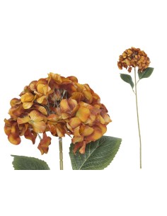 VARA HORTENSIA PRINTED (A) -77 CM (TE)