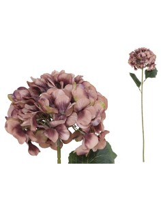 VARA HORTENSIA PRINTED (A) -77CM (CORAL)