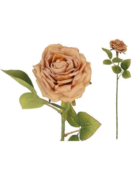 VARA ROSA DRIED - 50 CM (OCRE)