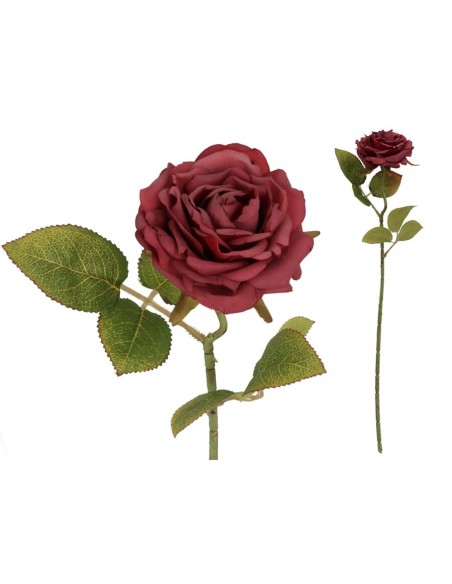 VARA ROSA DRIED - 50 CM (ROJO)