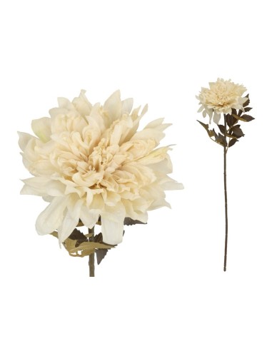 VARA DALIA DRIED - 54 CM (CREMA)