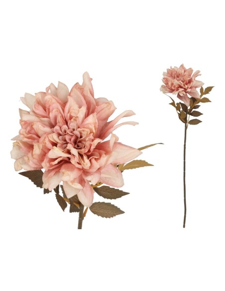 VARA DALIA DRIED - 54 CM (ROSA)