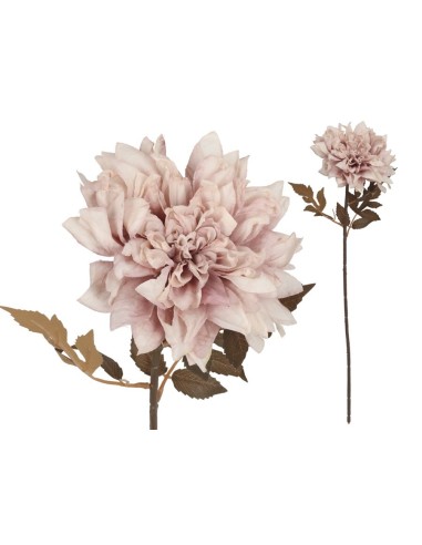 VARA DALIA DRIED - 54 CM (MALVA)