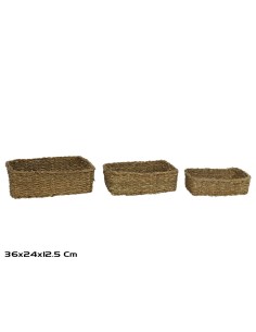 CESTA X3 KAISER RECT. ALGA MARINA 36X24X12 CM