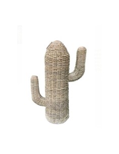 CACTUS  ESPARTO 60cm