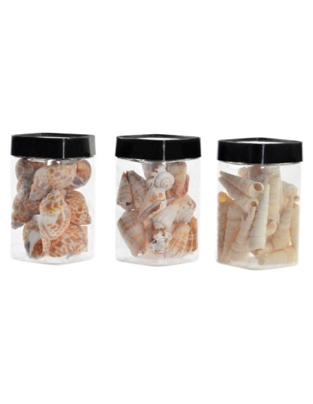 DECORACION CONCHAS 6X6X11 220GR NATURAL