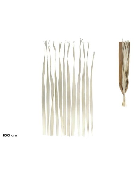 HOJA PALMA BLANQUEADA 12PCS