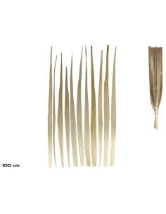 HOJA PALMA NATURAL 12PCS