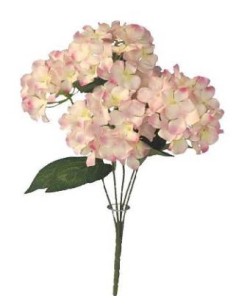 RAMO 5 HORTENSIAS-& MALVA