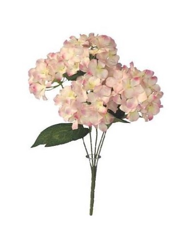 RAMO 5 HORTENSIAS-& MALVA
