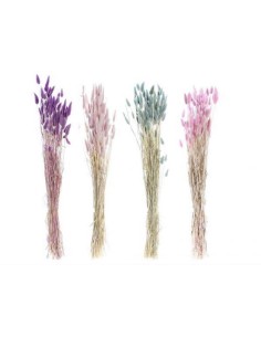 RAMO FLOR SECA 8X8X71 50GR COLA CONEJO 4 SURT.