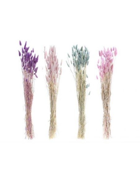 RAMO FLOR SECA 8X8X71 50GR COLA CONEJO 4 SURT.