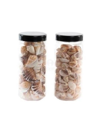 DECORACION CARACOLA 250GR EXPOSITOR 12 2 SURT.